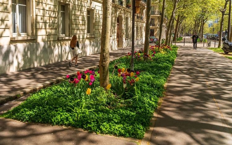 Recréer une terre fertile en ville : une histoire d'écologie profonde